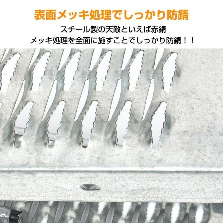 ラダーレール