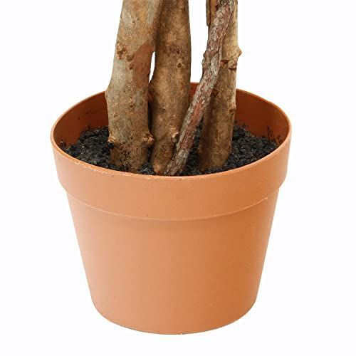 人工観葉植物 幅60×奥行60×高さ150cm