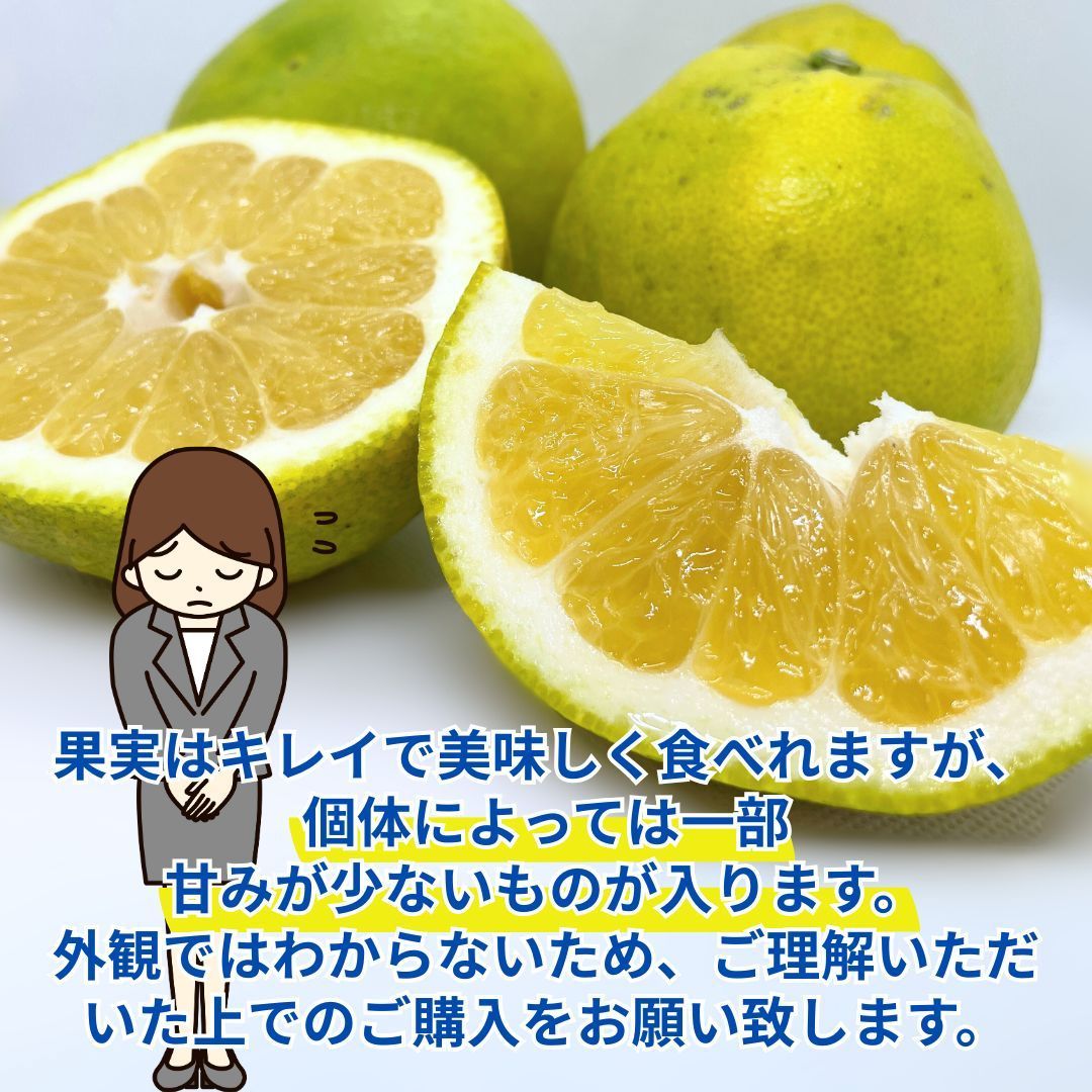【訳あり】河内晩柑　みしょうゴールド　１０ｋｇ