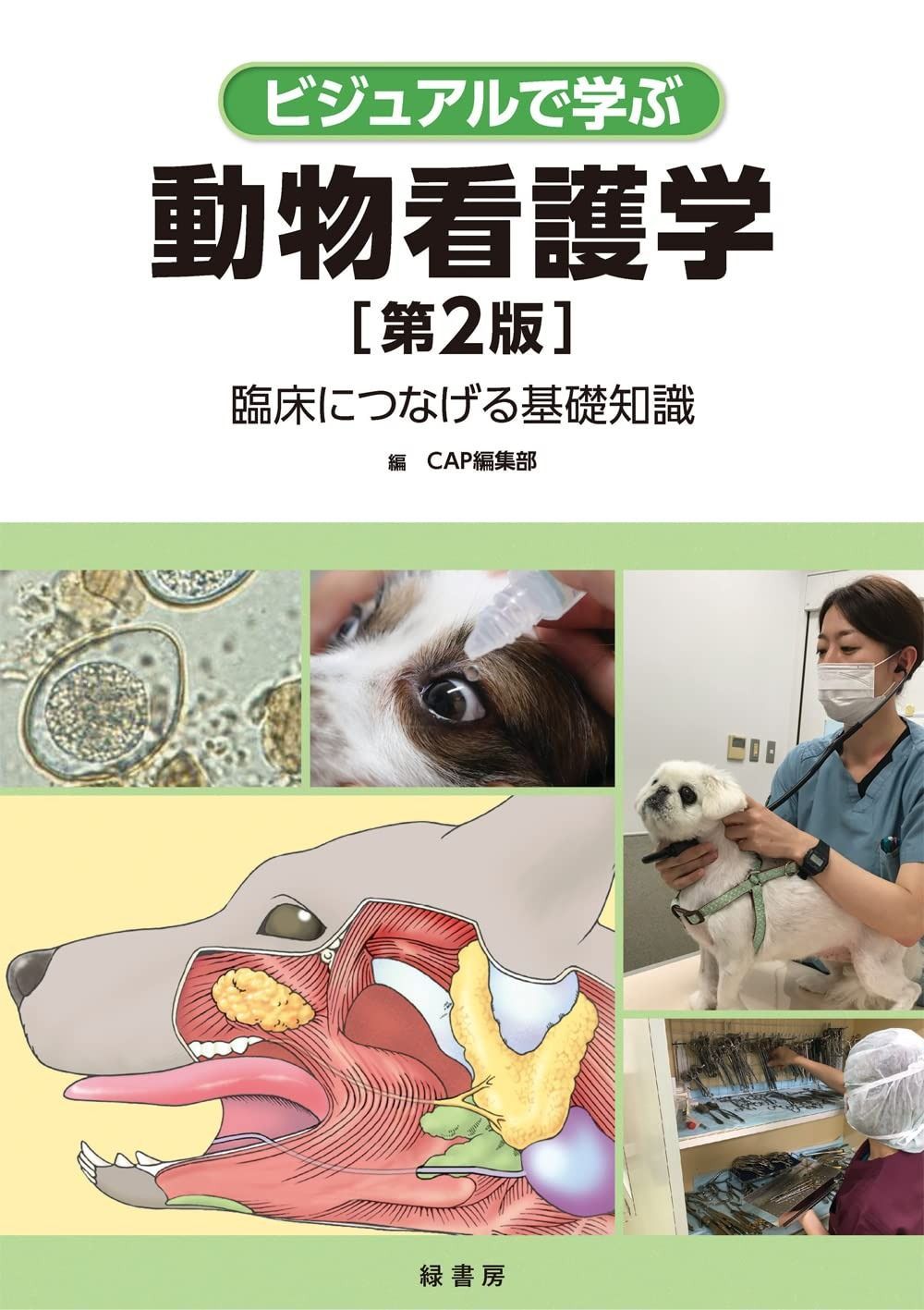 【定番人気，大得価】 ビジュアルで学ぶ動物看護学 第2版 ―臨床につなげる基礎知識 その他