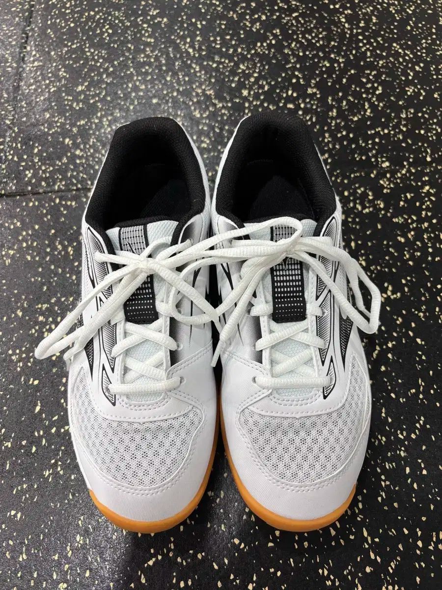 Mizuno ミズノ サイクロンスピード 245 1 会議用 バレーボールシューズ バドミントンシューズ インド化