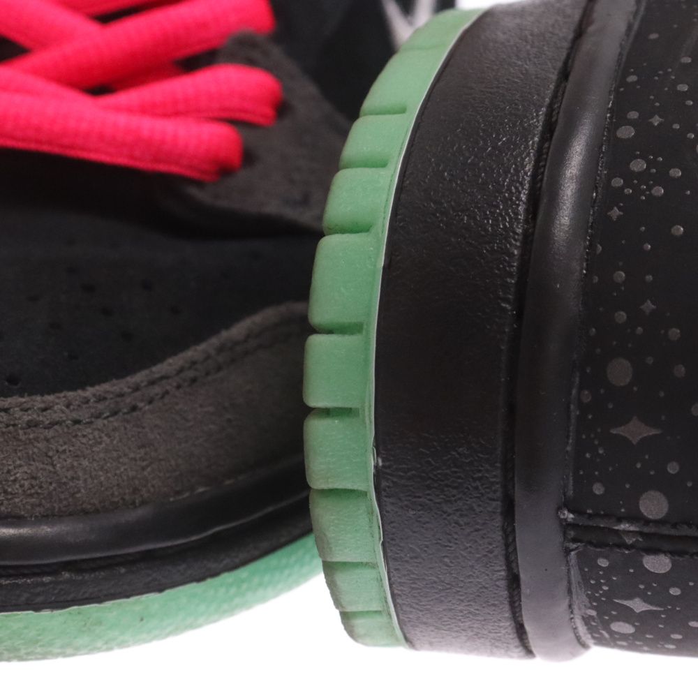 NIKE SB (ナイキエスビー) SB DUNK HIGH PREMIUM NORTHERN LIGHTS