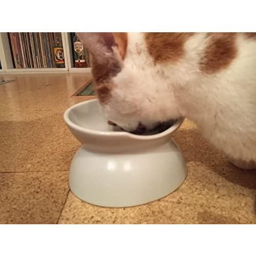 HARIO にゃんプレダブル