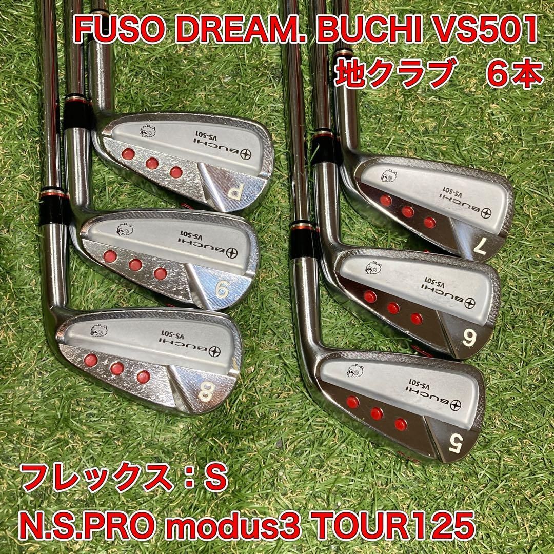 地クラブ フソウドリーム BUCHI VS501 アイアン6本 ゴルフ