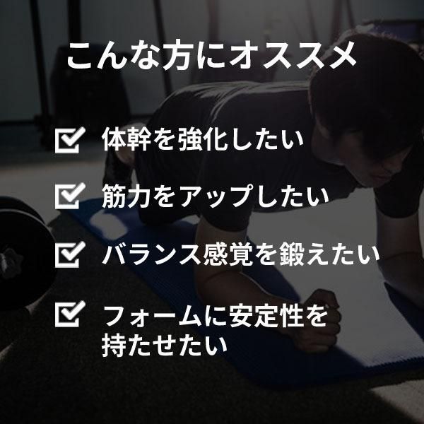 ウォーターバッグ ダンベル型・約30kg 専用空気入れ付き