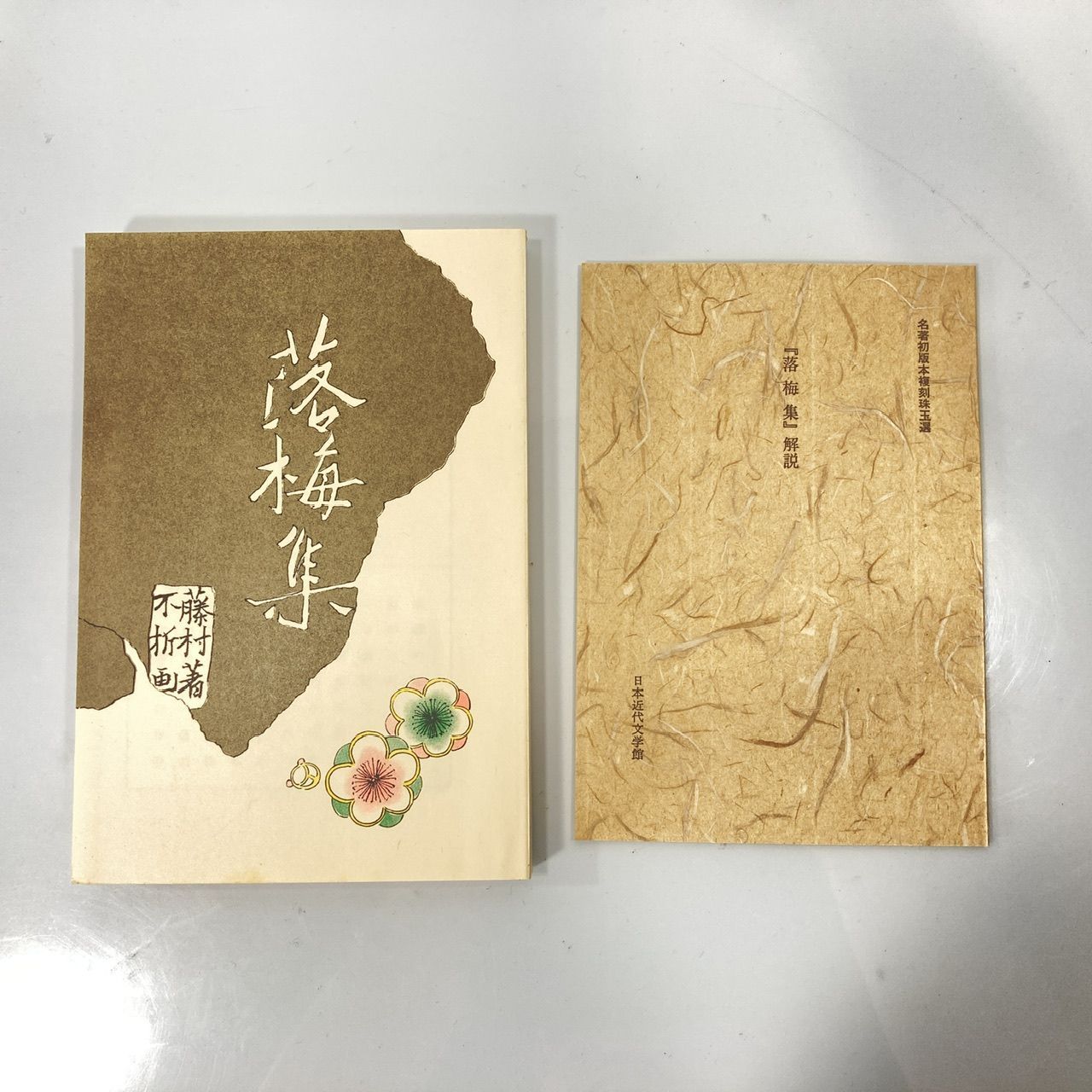 藤村ページ 81gRl-NYZ3L.jpg