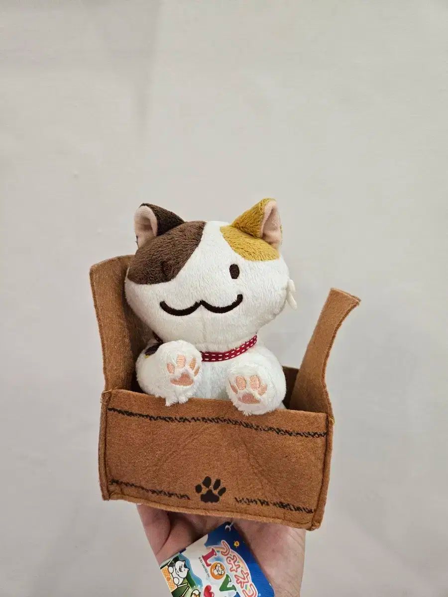 アブソリュート・デュオ 直筆サイン色紙 山本希望 山崎はるか 今村彩夏 諏訪彩花 アブソリュート・デュオ 直筆サイン色紙 山本希望 山崎はるか