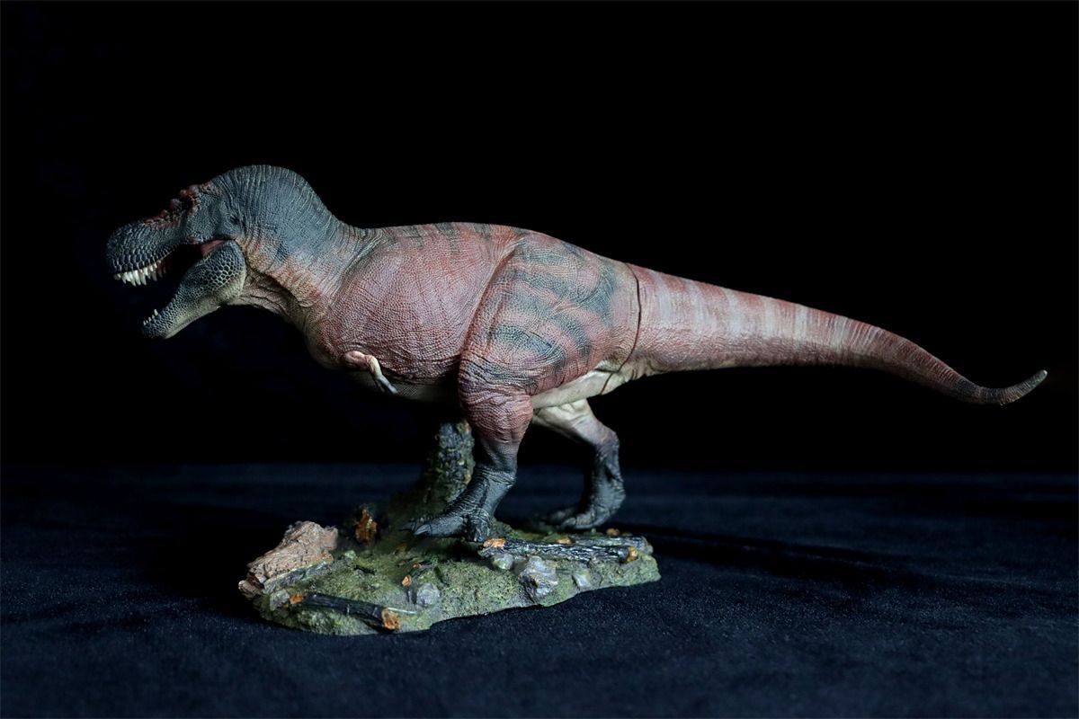 レア】ナノティラヌス（Nanotyrannus）の歯 母岩付き 鋸歯あり レア