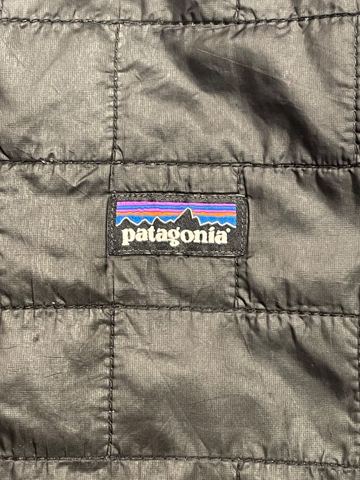 patagonia DOWN