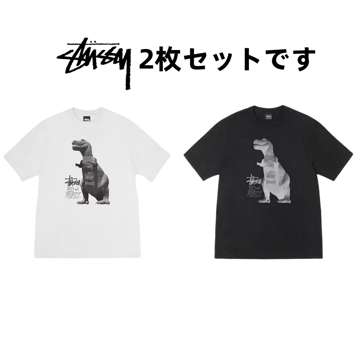 stussy Tシャツ2点セット STUSSY Tシャツ 2枚セット stussy 半袖Tシャツ