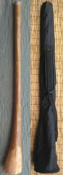 ケース付き|ティモール ユーカリ ディジュリドゥー ナチュラルNo.04 Ｄ 民族楽器 太古の金管楽器 木管楽器 アボリジニ オーストラリア ディジェリドゥー