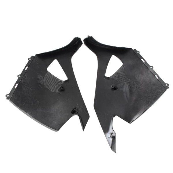 ZX25R/ZX4R カーボンサイドテールカバー ブランド