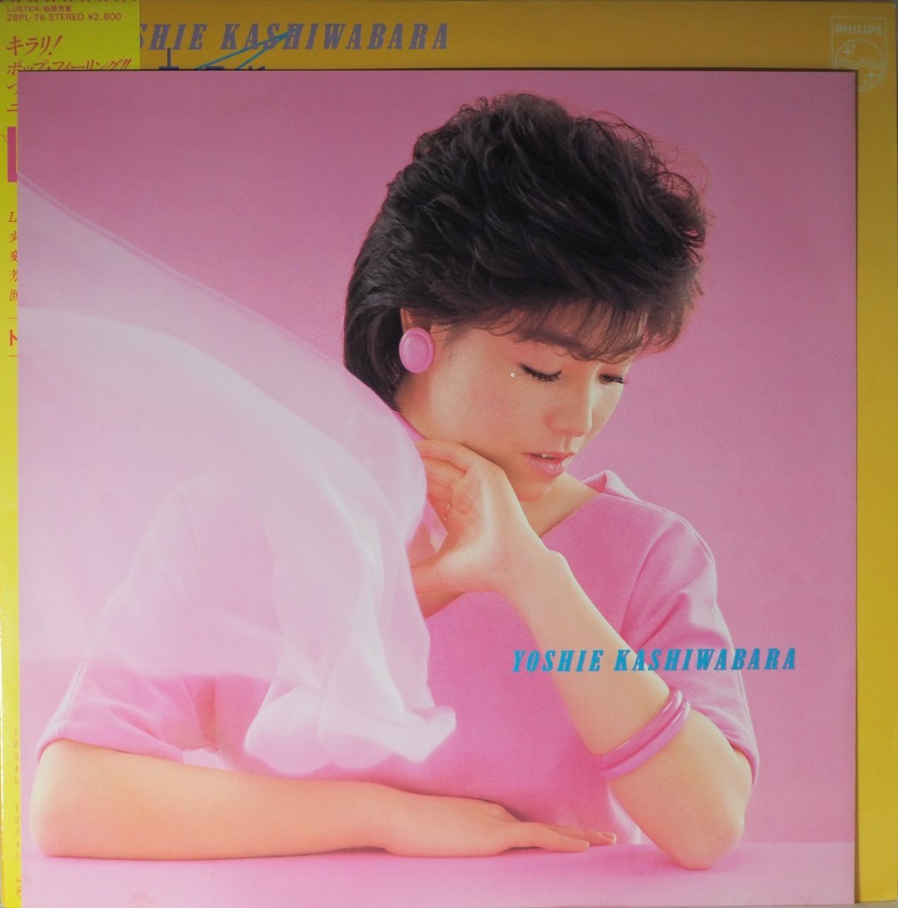 柏原芳恵／LUSTER - メルカリ