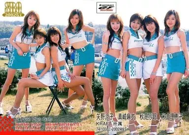 真崎麻衣　写真　はがきサイズ　32枚　レースクイーン　アイドル　タレント 真崎麻衣 写真 はがきサイズ 32枚 レースクイーン アイドル