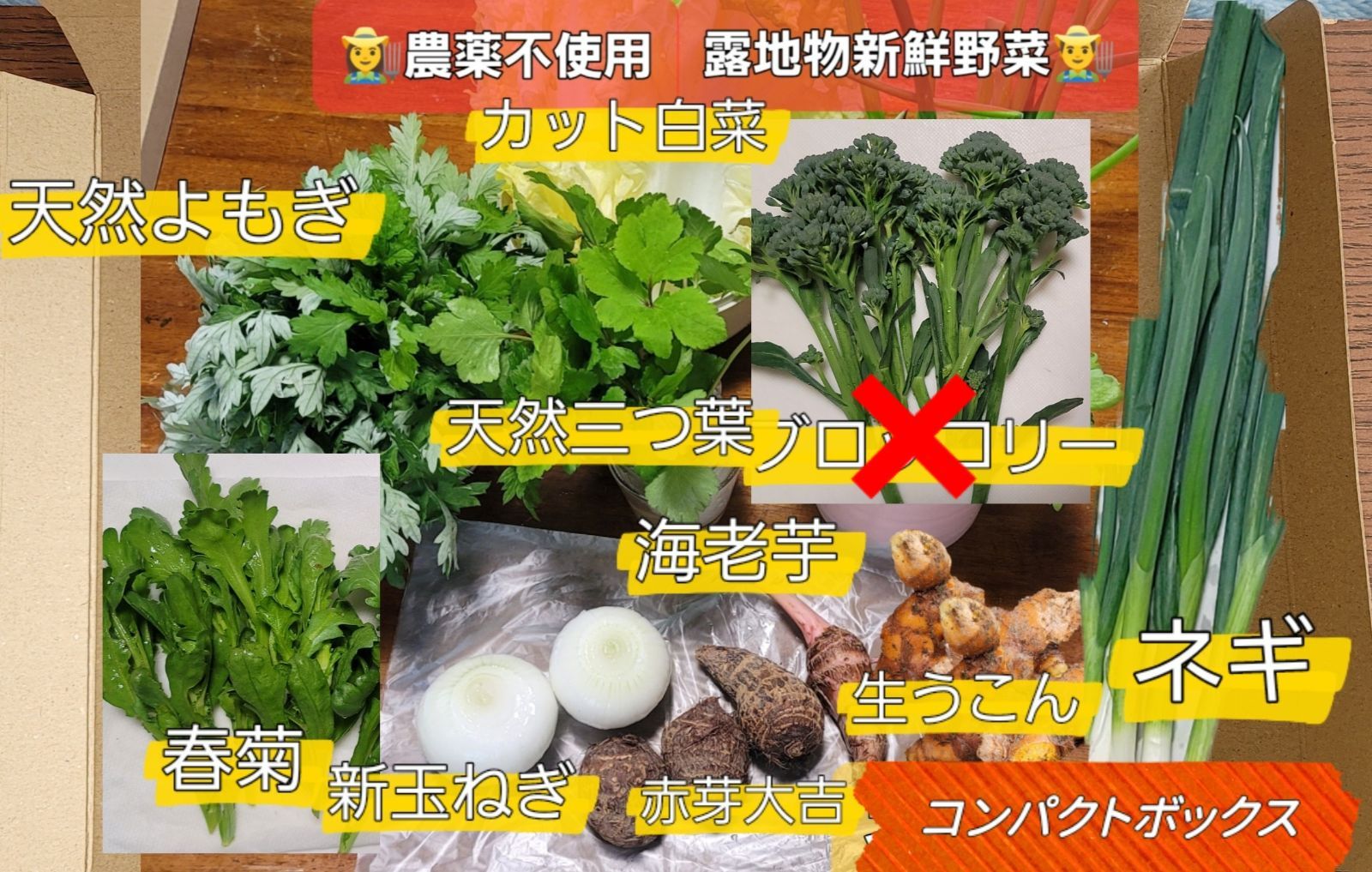 露地栽培 農薬・化学肥料不使用 新鮮野菜詰め合わせ コンパクト