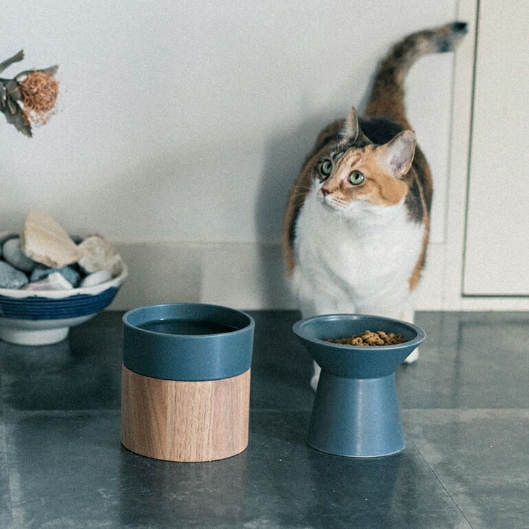 脚付き