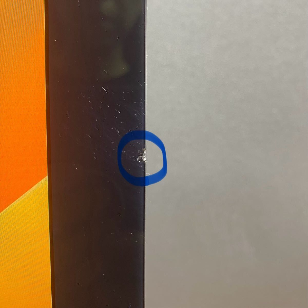 Retina