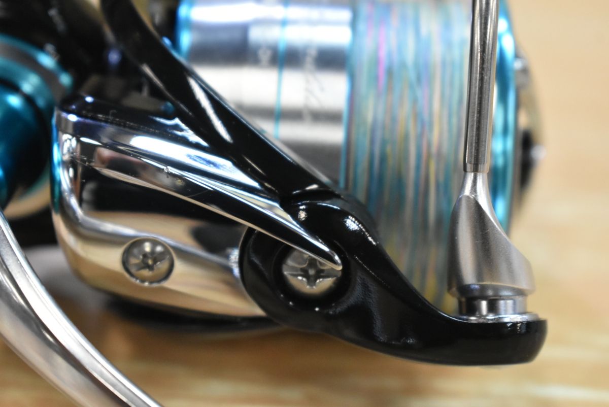 アオリイカ コウイカ