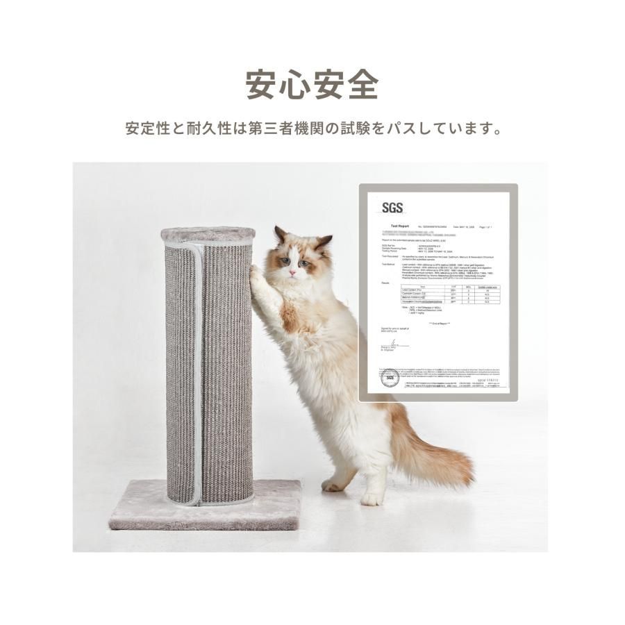 直径20cm