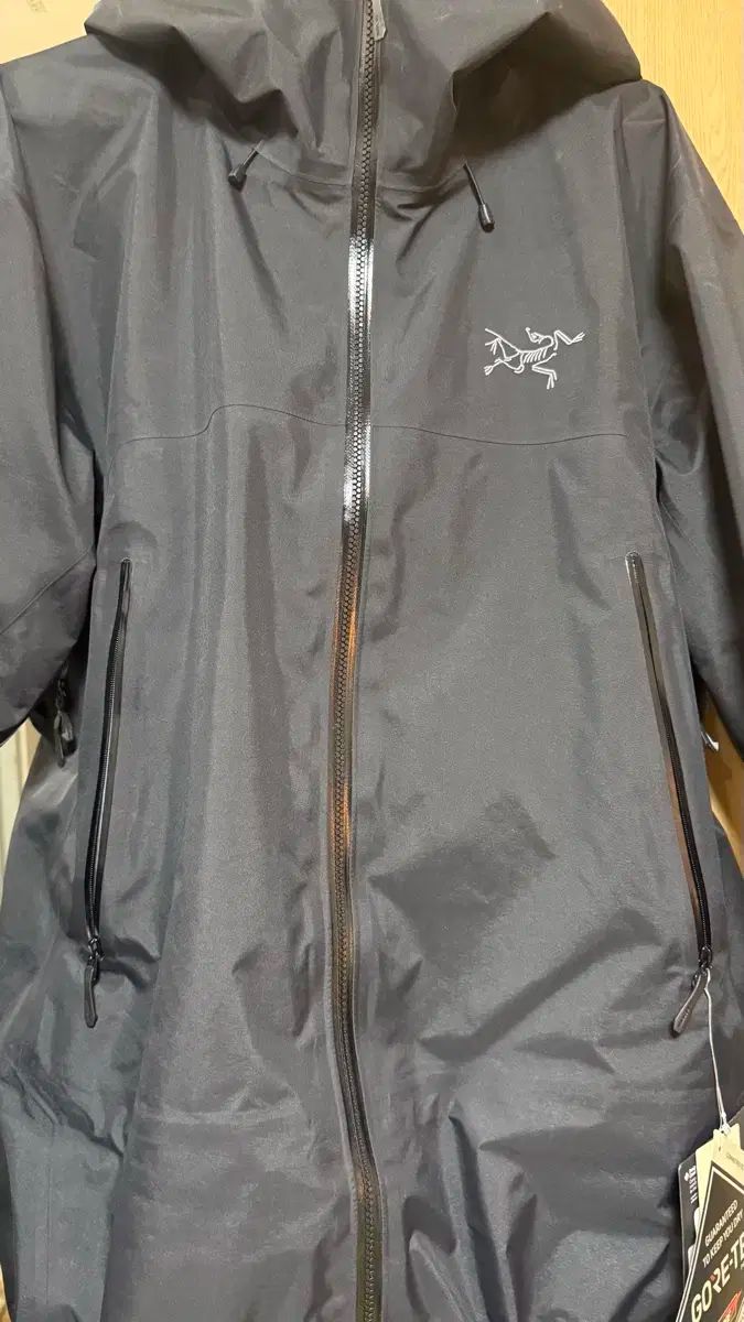 ARC TERYX アークテリクス ベータ SL 25FW