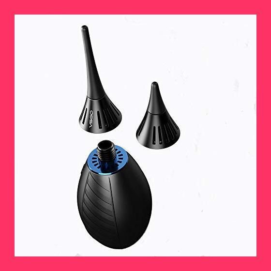 B・シャロワ、肘掛椅子の少女、日本未発売・限定画集画、額付