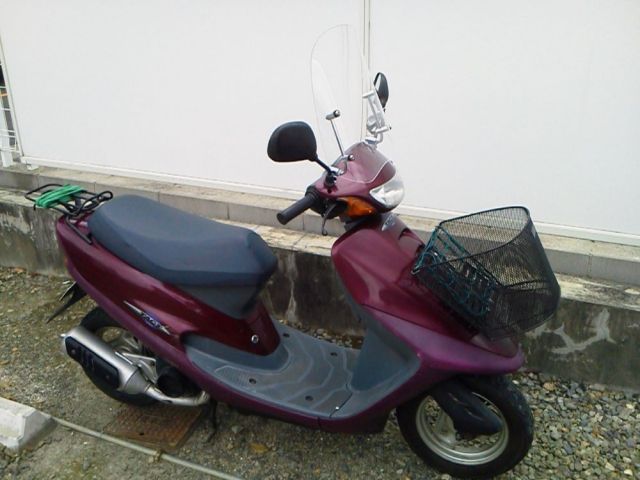 タクト ウインドスクリーン 原付汎用風防 クリア アダプター付