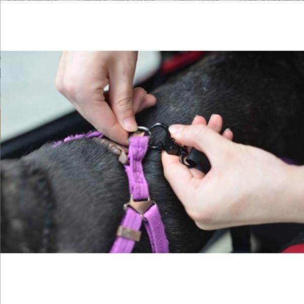 ドッグカート ペットバギー