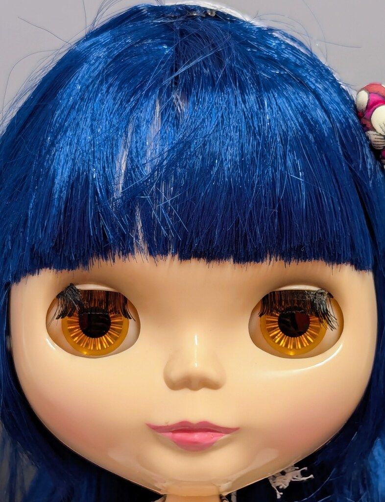 カンカンキャット