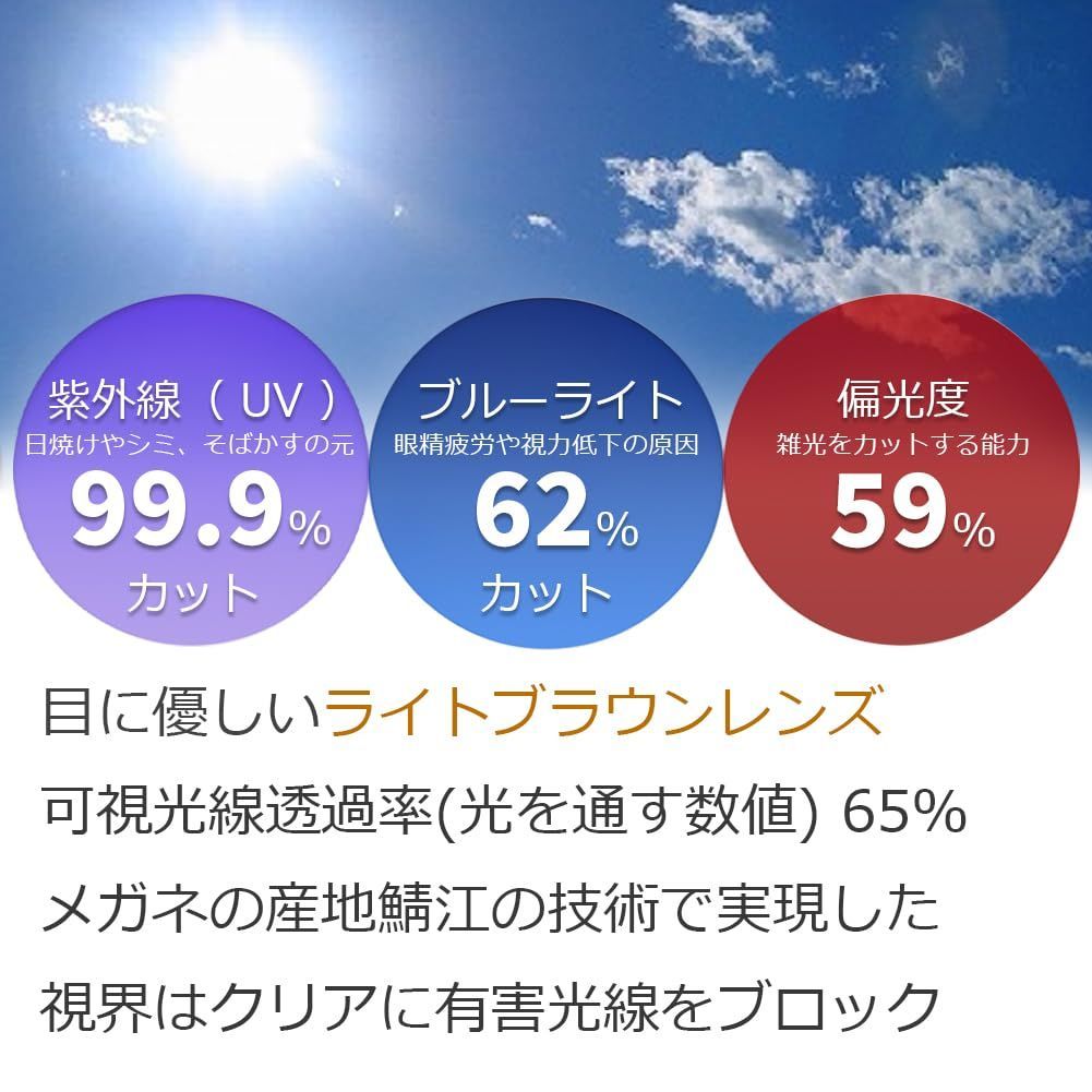 ライト 偏光