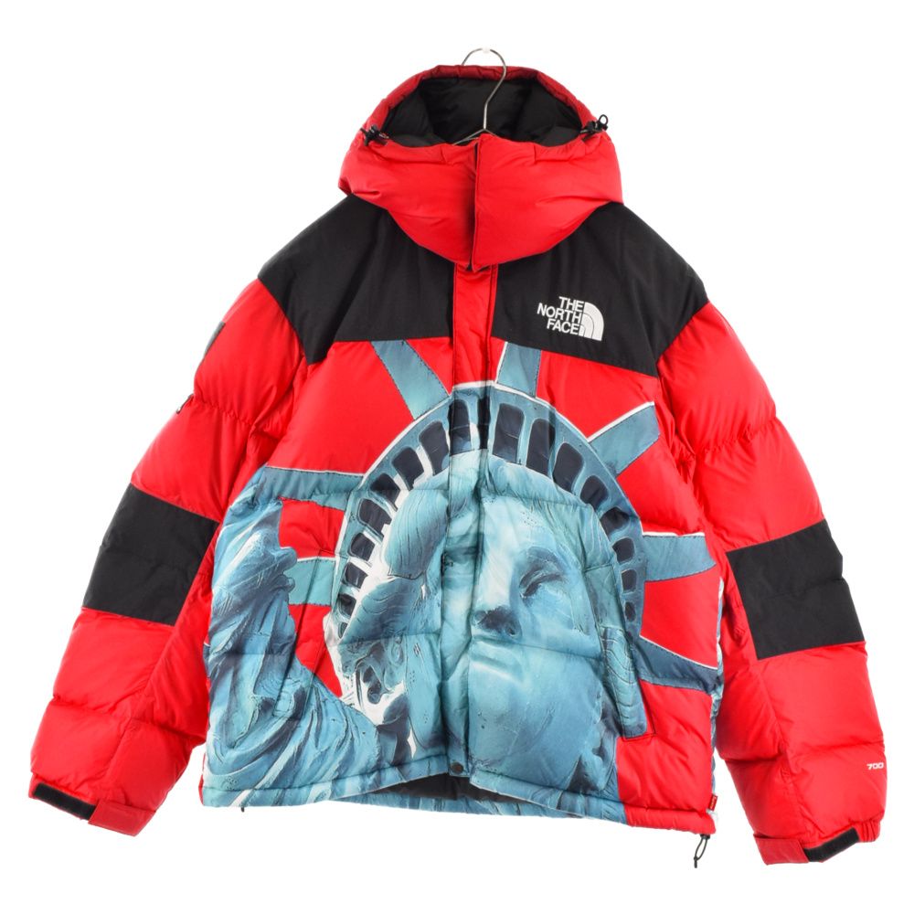 SUPREME シュプリーム 19AW×THE NORTH FACE Statue of Liberty Baltoro