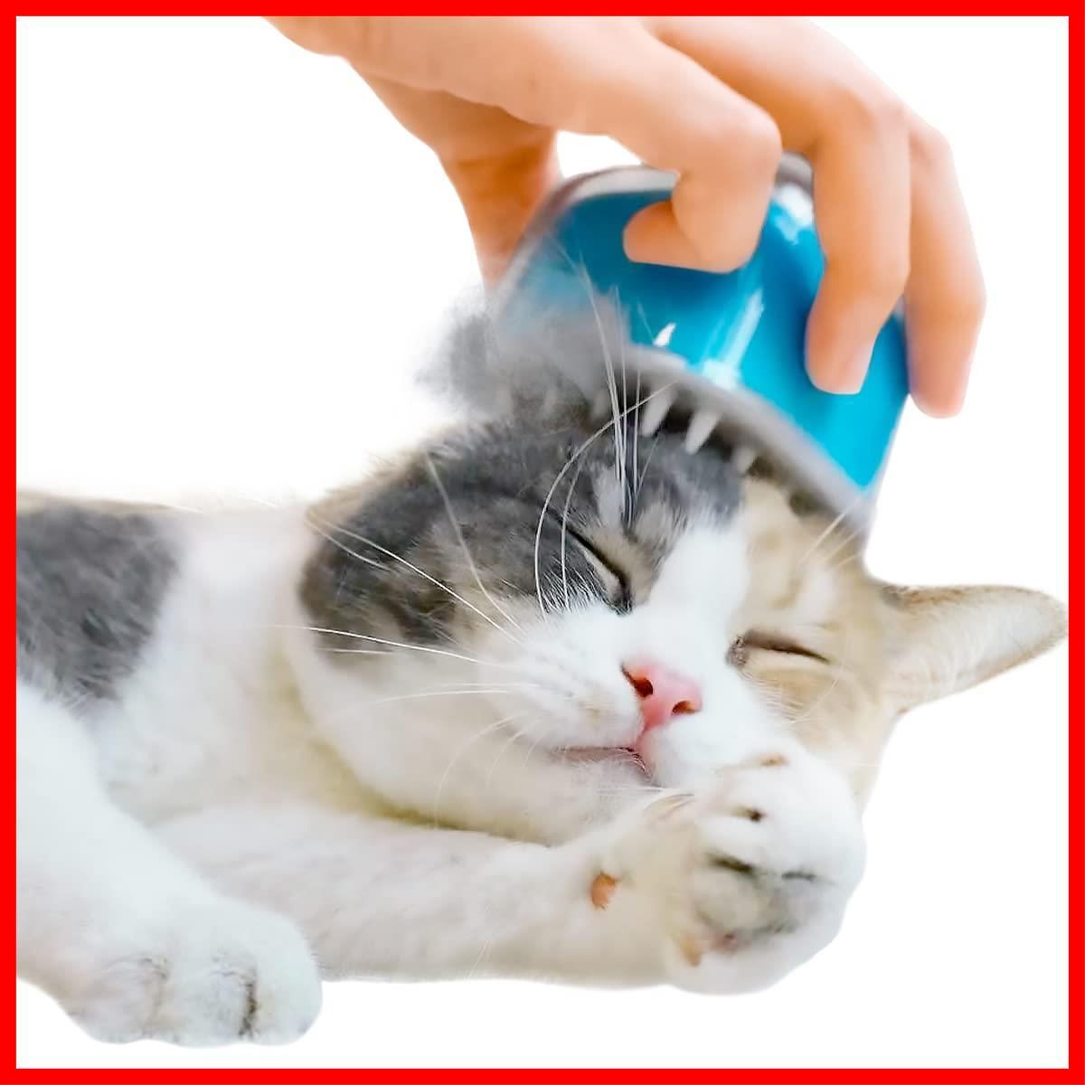 Salt キャンディ・ブラシ（Sea Blue） 猫ちゃんのご褒美エステ ブラシ 猫 Cheerble