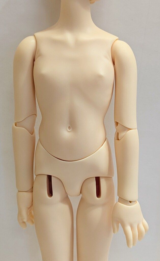 コーディネートモデル