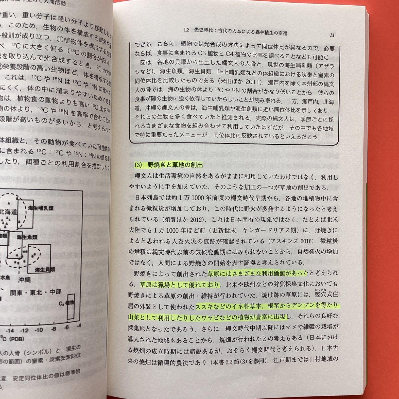 人と生態系のダイナミクス 2 森林の歴史と未来 rm_a1010_76 - メルカリ