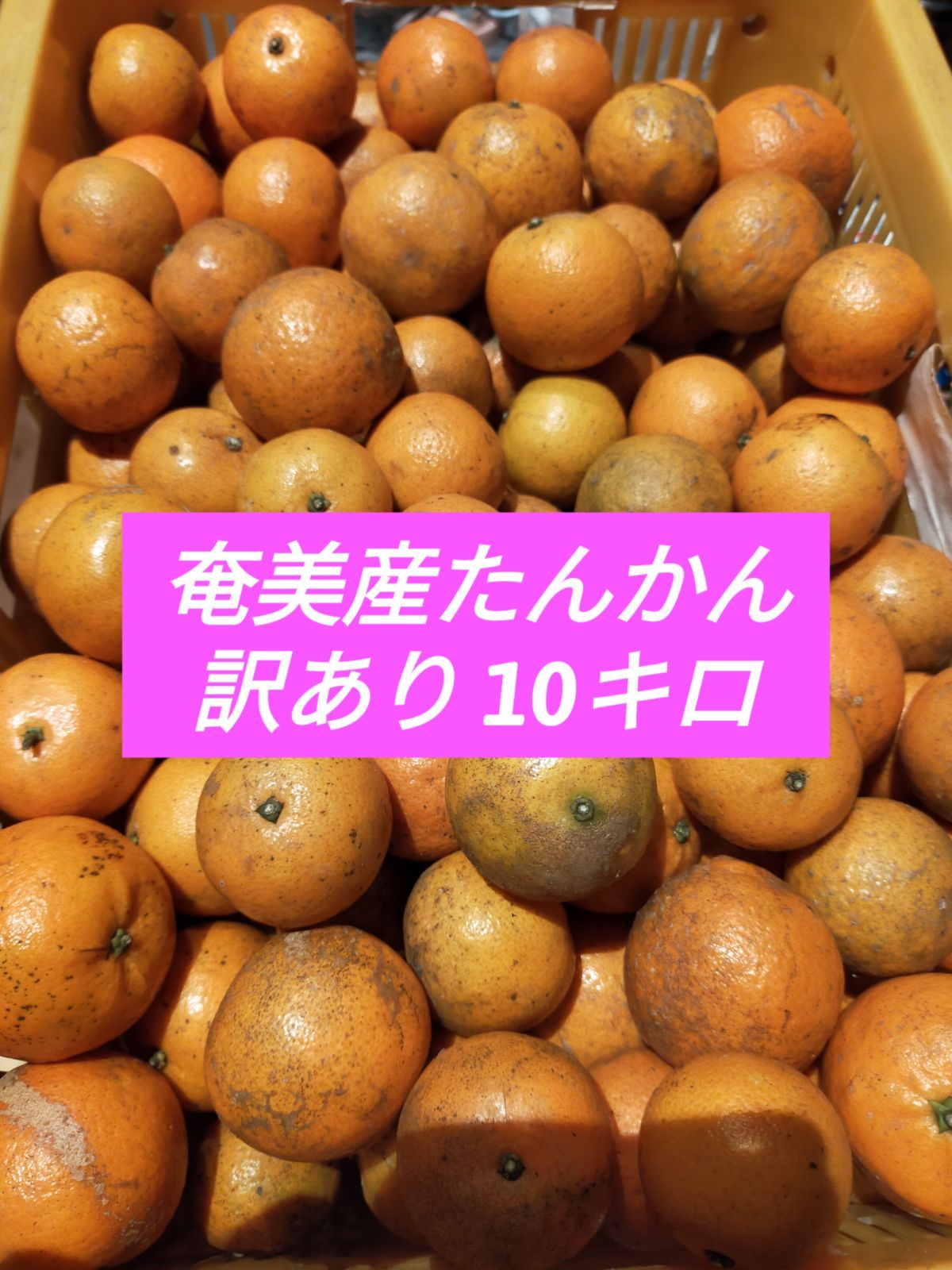 たんかん セール 10キロ たんかん 10キロ 訳あり 加工用 大特価 - メルカリ