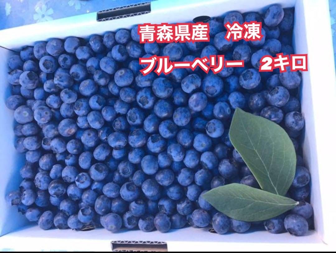 シークワーサー 1kg 農薬不使用 無肥料 自然農 三重県産