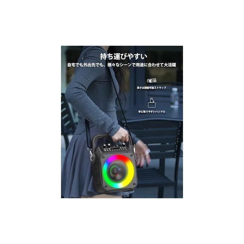 カラオケマイク ２本