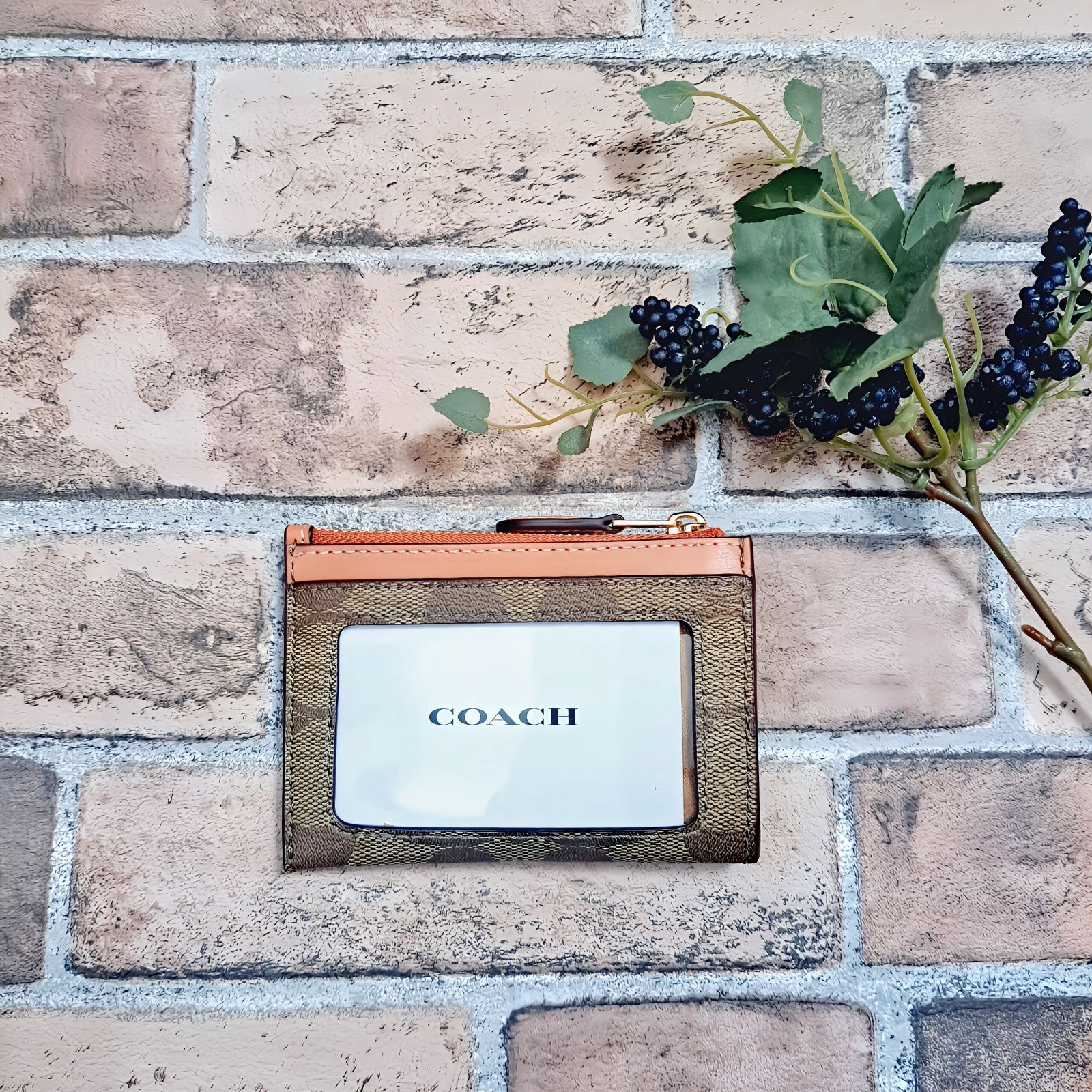 ミニ スキニー ID ケース シグネチャー キャンバス カードケース&パス