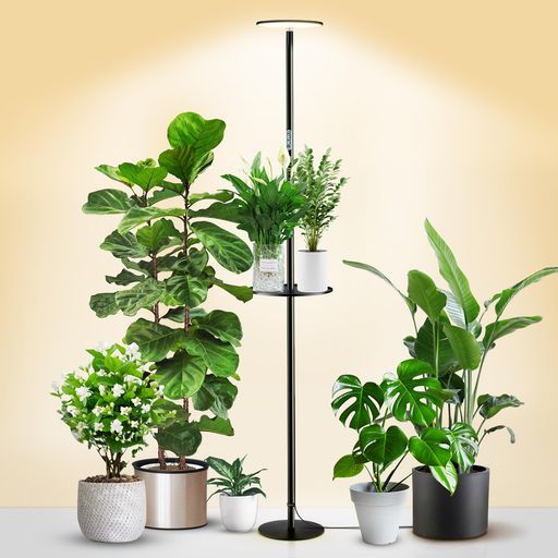 chiphyはライト 屋内植物のためのフルスペクトルLEDの植物ライト 皿が付いているすべての金属の永続的なフロア ランプ 10レベルのDimmableの明るさ 調節 な69”高さ 小さい高い植…