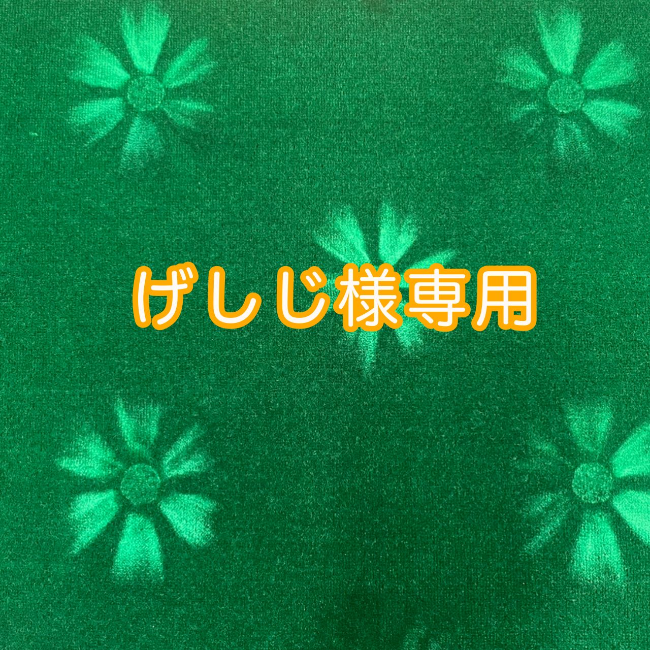 げしじ様専用