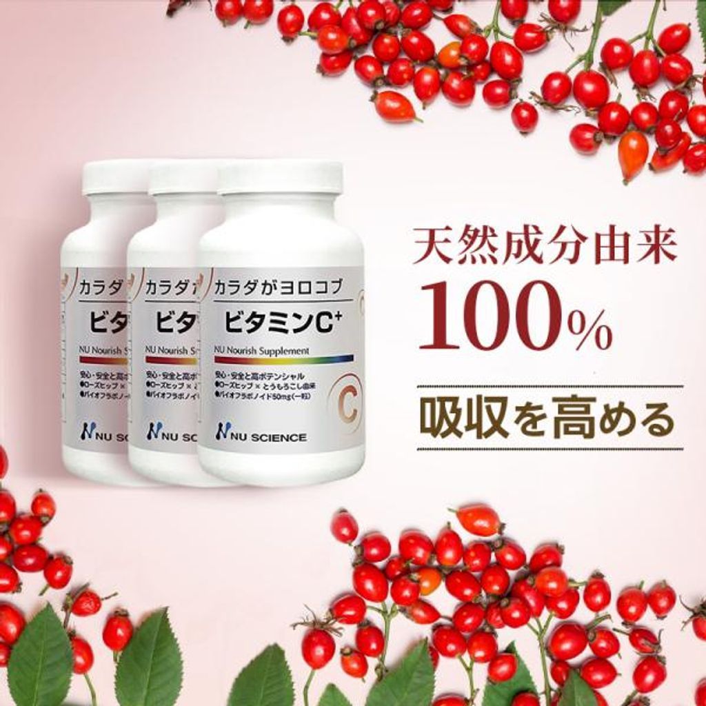 ニューサイエンス ビタミンC 180粒× サプリメント サプリ オーガニック村 天然 ローズヒップ ビタミン剤 ビタミンb ビタミンd クエン酸