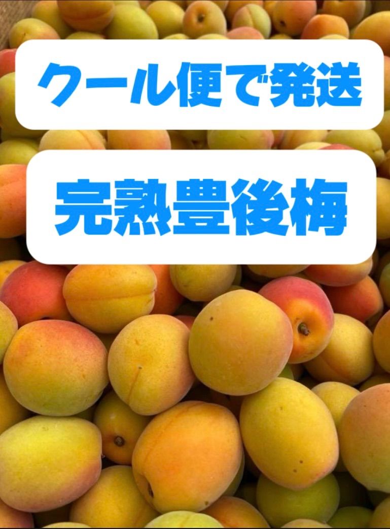 15 キロ箱込み