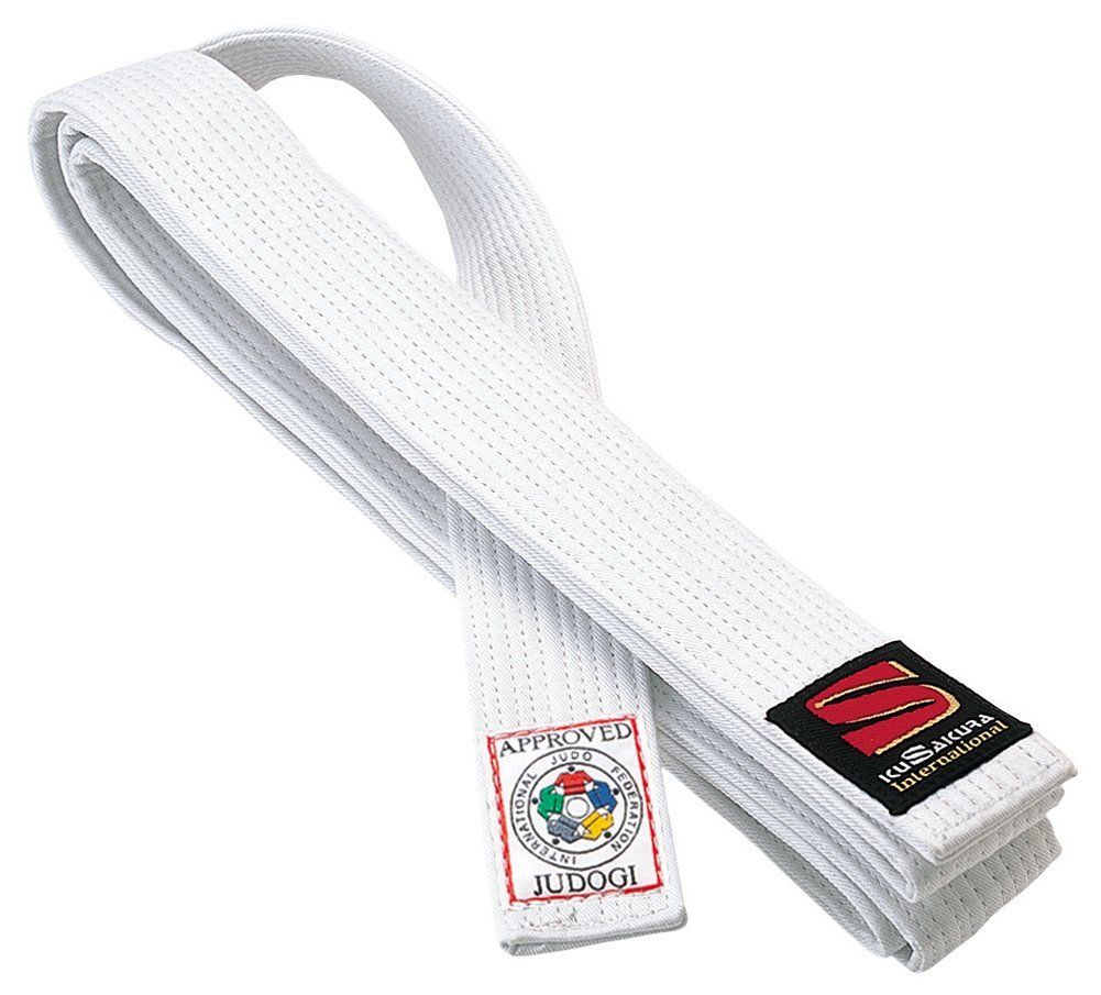 隕石原料 大型 彫絵入 122g！ 本物保証