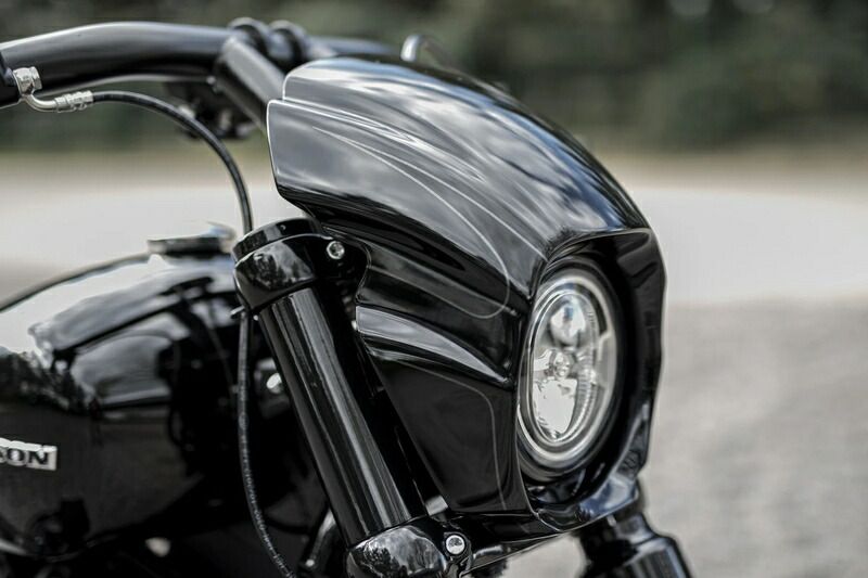 Aggressor ヘッドライトフェアリング