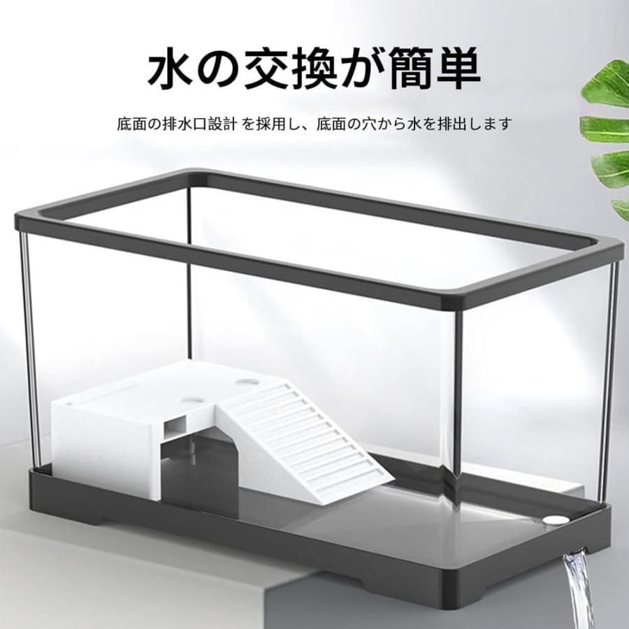 アクリル水槽 カメ生息地