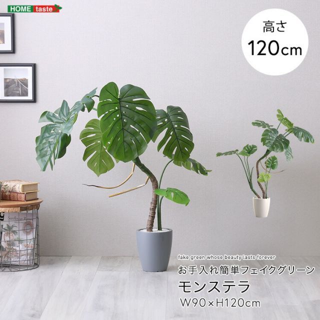HGJH フェイクグリーン ミニ 人工観葉植物 ミニ デスクサイド オシャレ ミニプランター 観賞用 造花 母の日 父の日 フラワー フェイクグリーン  人工多肉植物 かわいい ミニ 鉢植え 装飾用 小さなデスクプラント デスク 窓 棚の隅 オフィス 枯れない インテリア 小型 ... HGJH フェイクグリーン 卓上 人工観葉植物 枯れない 窓の植物 テーブル 室内 観賞用 オフィス カフェ 事務所 フラワーアレン