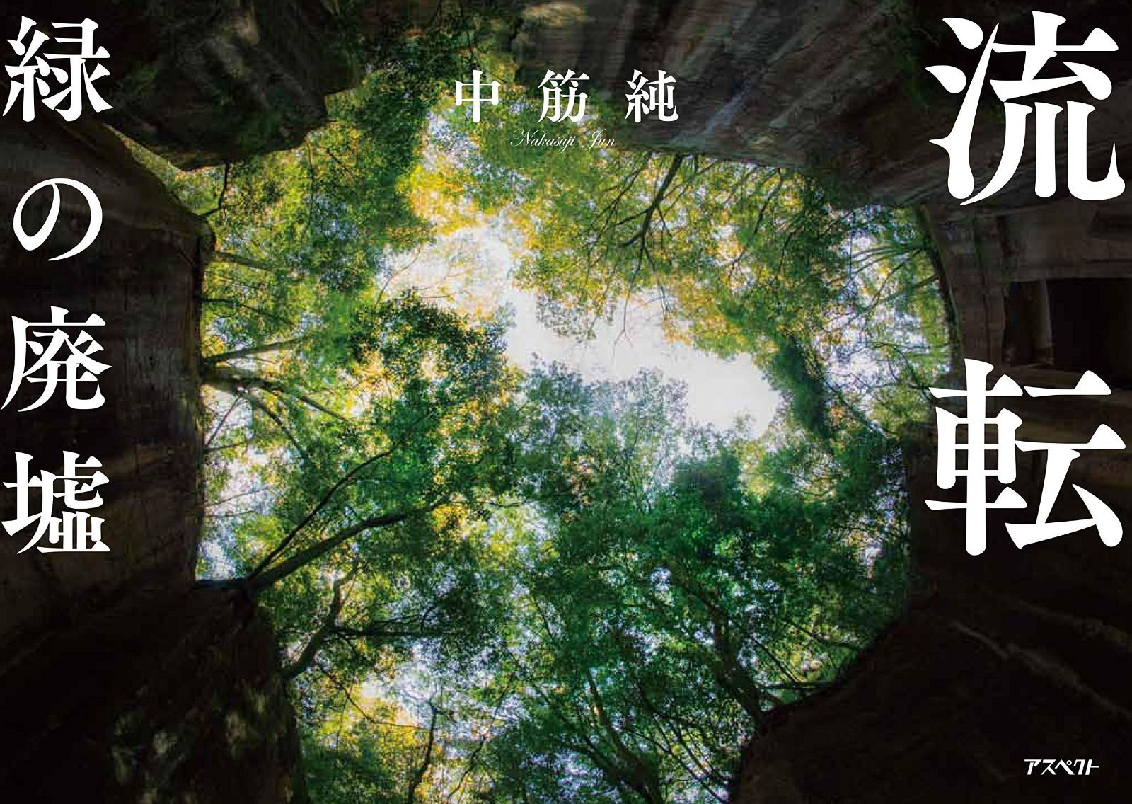 本物保証，正規品 流転 緑の廃墟 その他