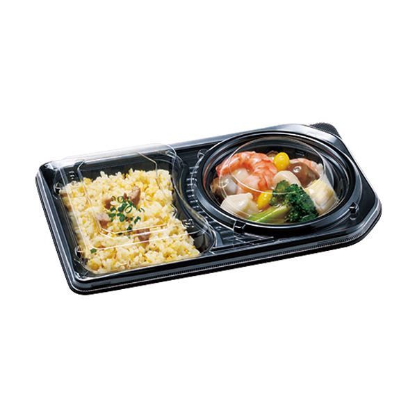 まとめ エフピコチューパ デリカランチ DL-25-15 フタ CP580286 1パック 50枚 ×10セット