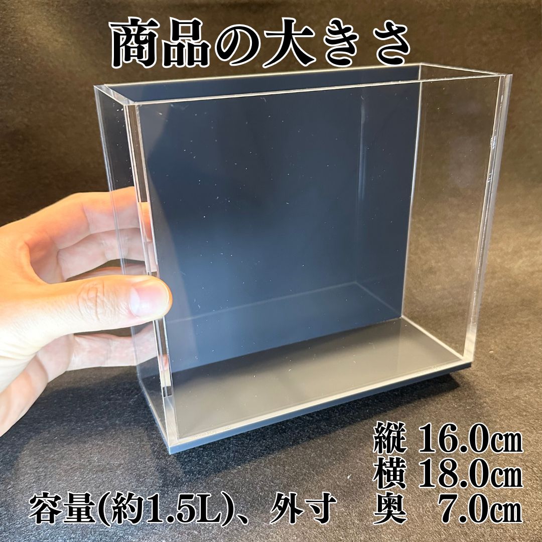 五藤めだか】展示販売AB品(グレー) メダカ用 ケース 撮影 横見 - メルカリ
