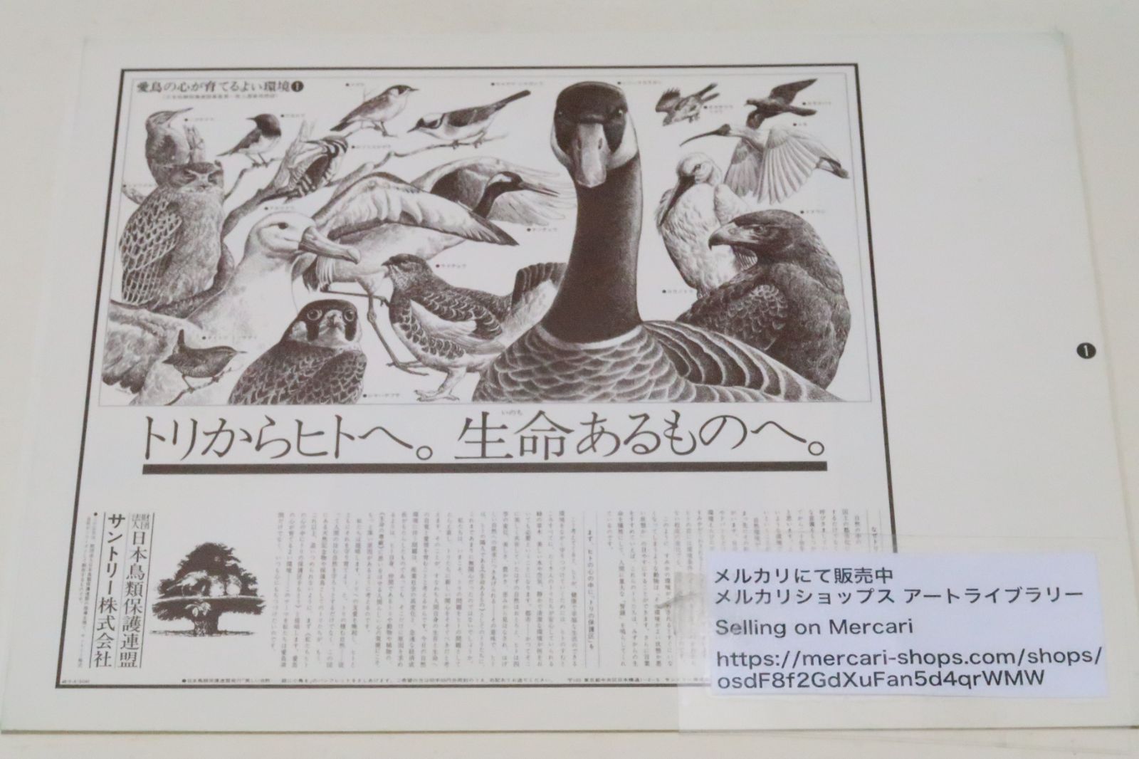 野鳥と私たち　愛鳥キャンペーン　新聞広告縮印刷版　第１〜3集 野鳥と私たち 愛鳥キャンペーン 新聞広告縮印刷版 第1〜3集