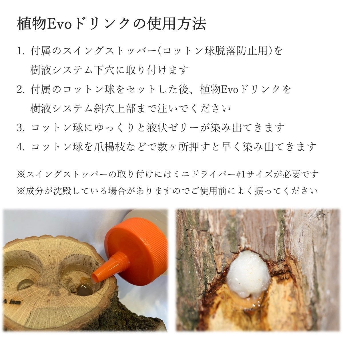 DDA】樹液の出るクワリウム newクラフトウッド Mサイズ ランダム
